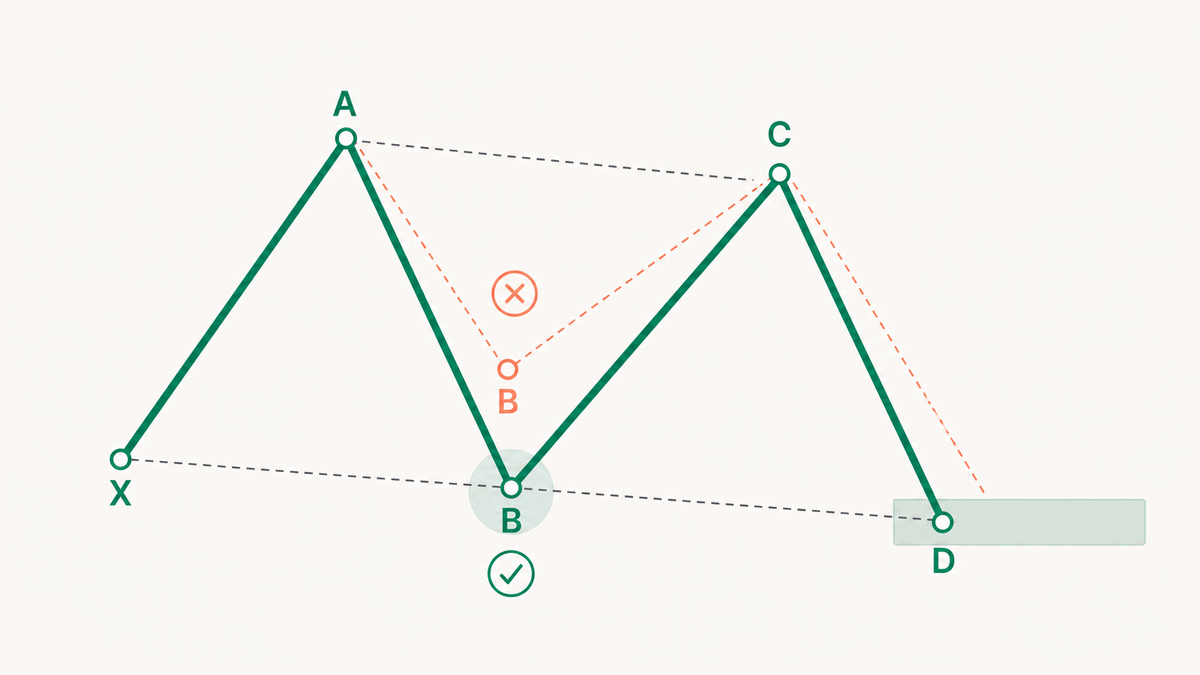 A deep B separates the Butterfly from other extension patterns
